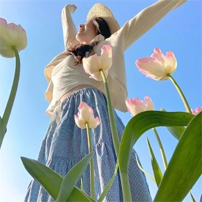 容易受伤的玫瑰